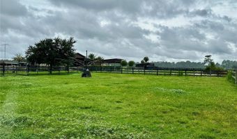 1350 RED COLT Ct, Astor, FL 32102