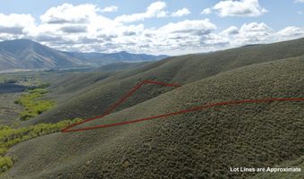 Lees Gulch Rd, Bellevue, ID 83313