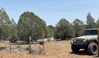 164 Rattlesnake Rd, Ash Fork, AZ 86320