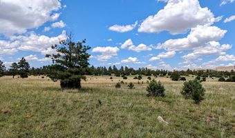 TBD ACR n 1340 Red CabinTrail, Vernon, AZ 85940