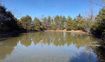 County Road 1470, Allen, OK 74825