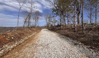 0 County Road 217 Lot 1, Blue Springs, MS 38828