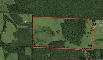 N County Road 113, Alton, MO 65606