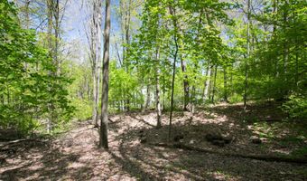 6050 Grand River Dr NE, Ada, MI 49301