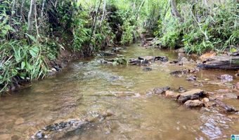 988 MINES Rd 100, Ashland, AL 36251