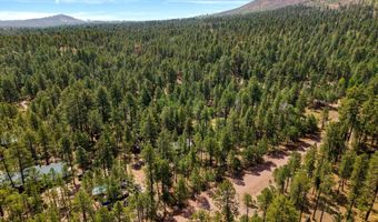 8 County Road 2083, Alpine, AZ 85920