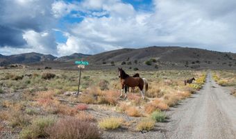77 Ophir Mill Rd, Dayton, NV 89403