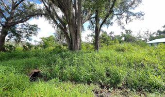 ASH STREET, Arcadia, FL 34266