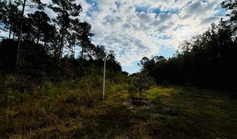 644 Ash-Harrel Loop, Abbeville, GA 31001