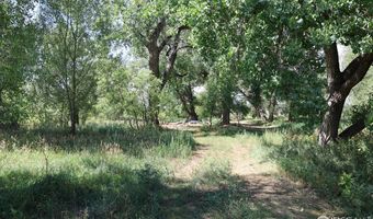 1785 Serene Pl, Berthoud, CO 80513