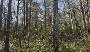 NW Little Prong Rd NW lot 4 And 5, Ash, NC 28420