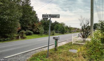 29028 BLACK PEPPER Ln, Georgetown, DE 19947