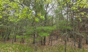 S Badger Lane lot 39, Arkdale, WI 54613