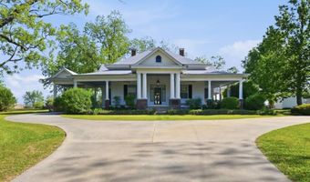 203 Hamilton Ln, Arabi, GA 31712
