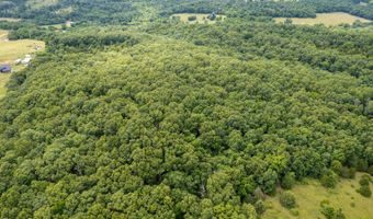 Co Rd 539, Ava, MO 65629
