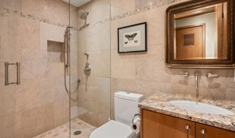 1020 E Hopkins Ave 9, Aspen, CO 81611