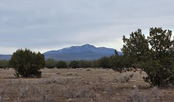 214 D Juniper Woods, Ash Fork, AZ 86320