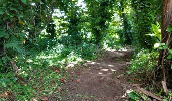 CR KUHIO HWY/ALAMIHI RD, Hanalei, HI 96714