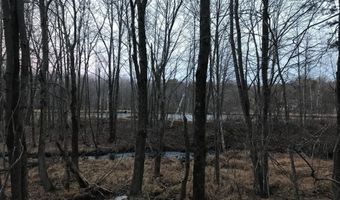 Lot 119 Mountain Rd, Albrightsville, PA 18210