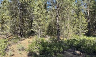 Thunderbear Road 46, Bonanza, OR 97623