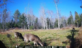 22 Monument Rd, Abbot, ME 04406