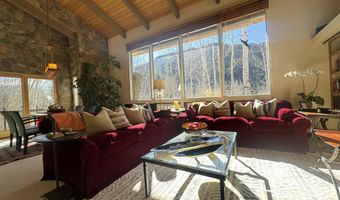 302 Roaring Fork Dr, Aspen, CO 81611