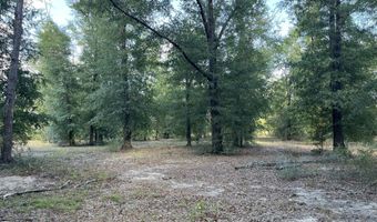 7958 NW County Rd 274, Altha, FL 32421