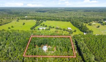 6679 NW 27th Pl, Bell, FL 32619