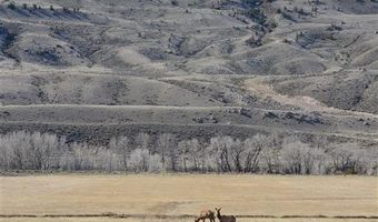 N Fork Hwy, Cody, WY 82414