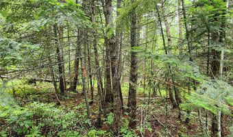 13727 Big Hawk Dr, Bigfork, MT 59911