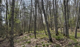 Freda's Lane, Arrowsic, ME 04530