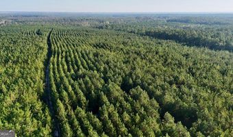 TRACTS 10 AND 1 Penny Morris Road, Baxley, GA 31513