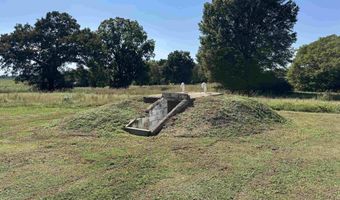 8448 Snake Rd, Athens, AL 35611