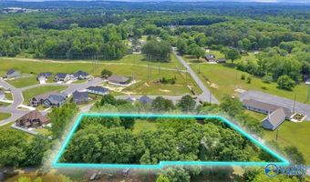1453 S Broad St, Albertville, AL 35950