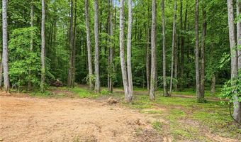 580 Eagles Perch Rd, Ball Ground, GA 30107