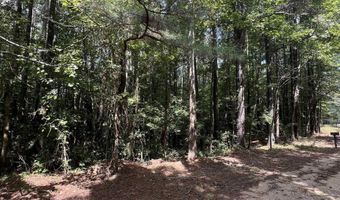 1 8 Acres Sauls Cir, Attalla, AL 35954