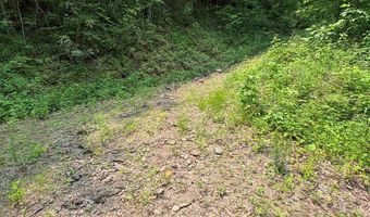 88 Acres Bolden Br, Andrews, NC 28901