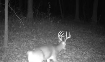 Whiskey Creek Lane, Batesville, AR 72501