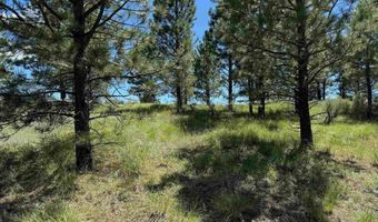 Lot 459 Torrey Pines, Angel Fire, NM 87710