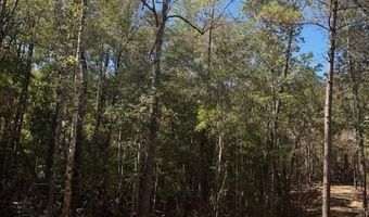 O'Banner Loop, Brooklyn, MS 39425