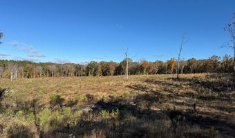 Hwy 9, Bruce, MS 38915