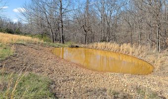 2259 Racetrack Hollow Rd, Anderson, MO 64831