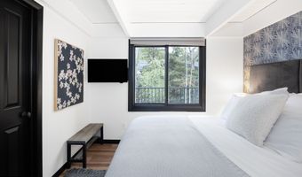 901 E Hyman Ave 4, Aspen, CO 81611