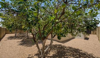 463 S OLMO Cir, Apache Junction, AZ 85120