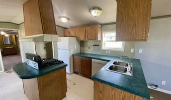 510 Sibbald Ave, Golconda, NV 89414