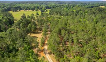 1304 Broad St, Tallapoosa, GA 30176
