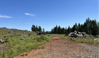 Tunnel Tract Parcel2, Banks, OR 97106