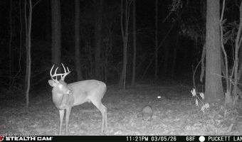235 Woodrow Martin Rd, Brandon, MS 39042