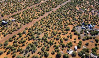 233 Co, Concho, AZ 85924