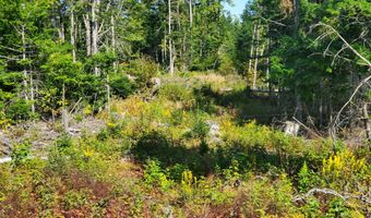 W McMann & Porcupine Hill Road lot 3, Addison, ME 04606